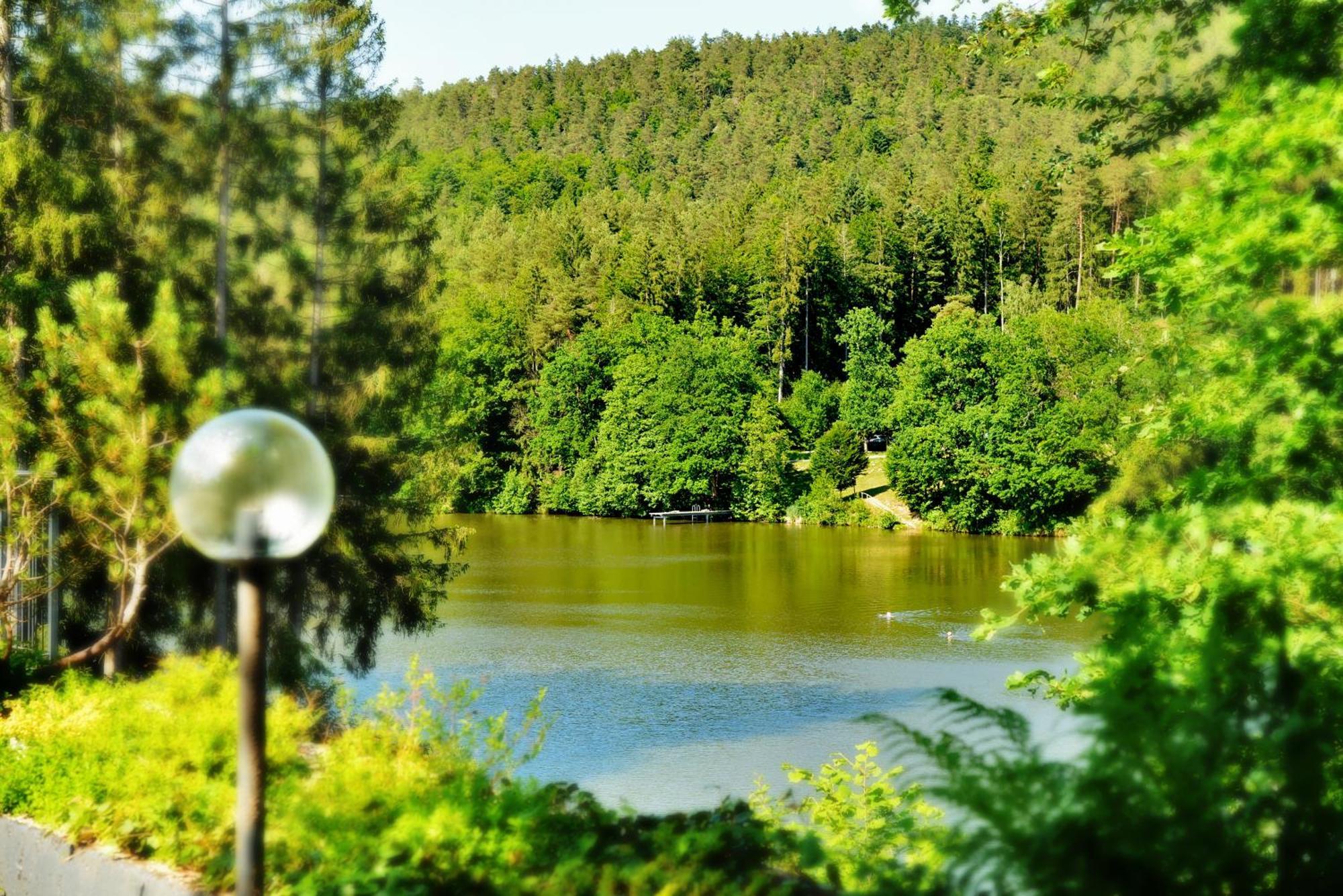 Das Dreiburgensee Naturhotel & Spa Thurmansbang Εξωτερικό φωτογραφία
